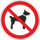 P 14 Запрещен вход с животными